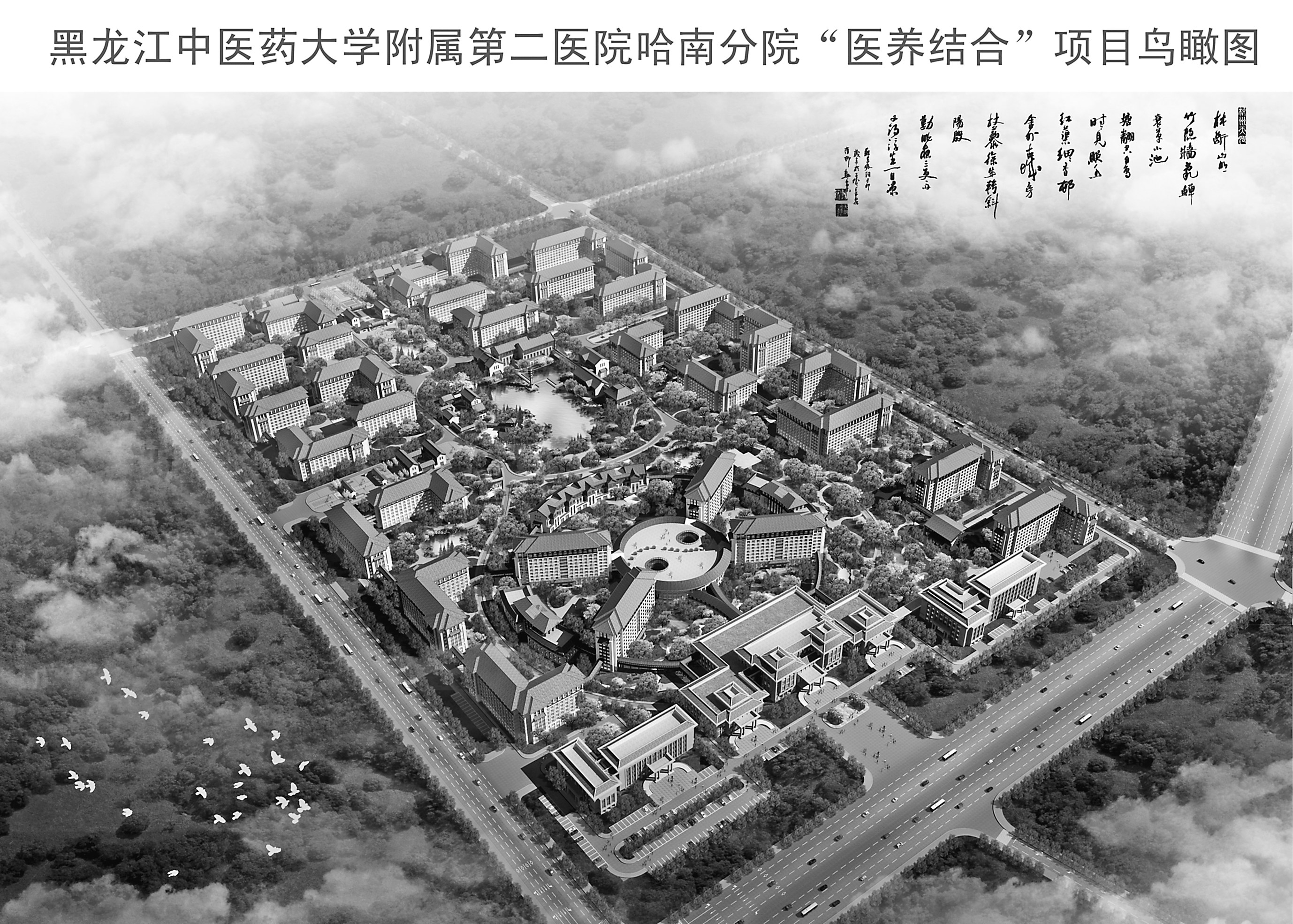 黑龙江中医药大学附属第二医院哈南分院"医养结合"项目鸟瞰图