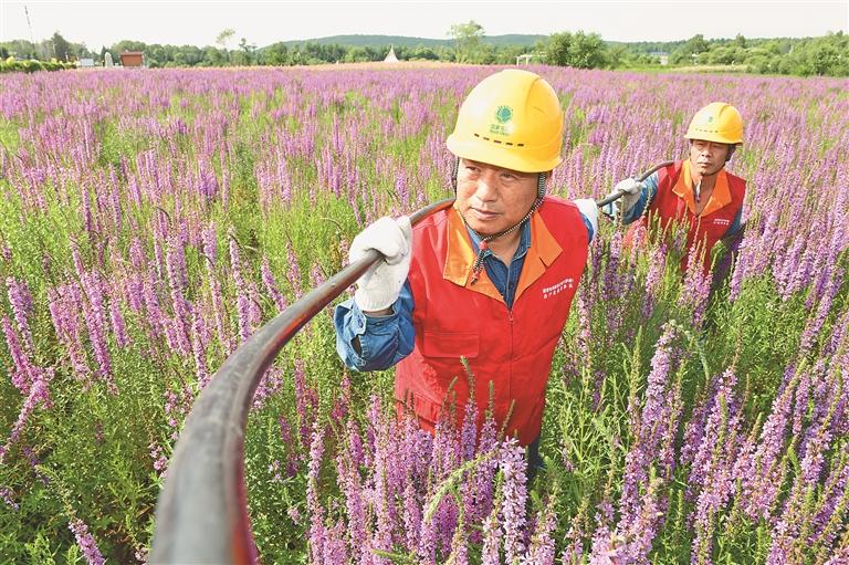 典型电力优质经验服务方案_电力典型经验材料范文_电力优质服务典型经验